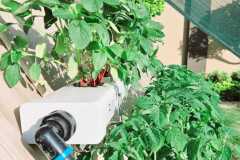 WhatsApp-Image-2024-01-10-at-16.35.53