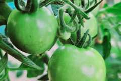 WhatsApp-Image-2024-01-10-at-16.35.54-2