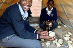 WhatsApp-Image-2024-05-02-at-08.08.43-2