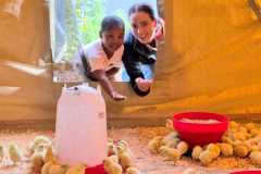 WhatsApp-Image-2024-11-11-at-07.47.04-2