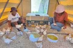 WhatsApp-Image-2024-01-10-at-16.35.55-2