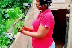 WhatsApp-Image-2024-08-01-at-06.52.39