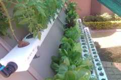 WhatsApp-Image-2024-08-13-at-06.24.10