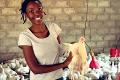 Farmers-Guide-to-Successful-Broiler-Poultry-Farming-in-Kenya