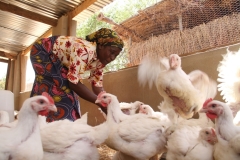 large_PO_ZIM_20140804_19