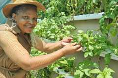 WhatsApp-Image-2024-01-23-at-09.47.00