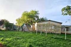 WhatsApp-Image-2024-05-02-at-08.08.26-2