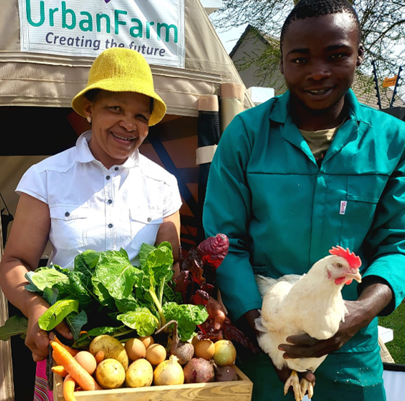urban-farm-holding-chicken-and-veggies