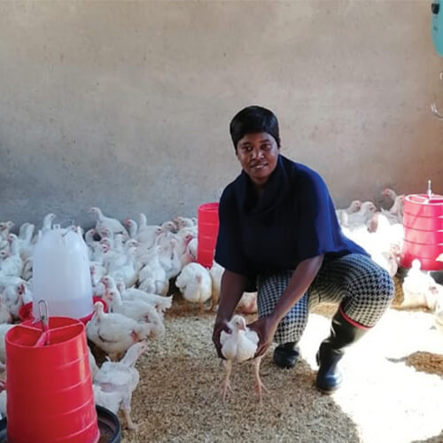 project-management-4