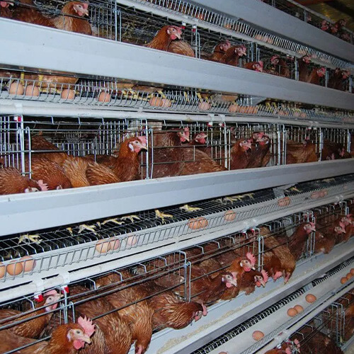 project-management-6