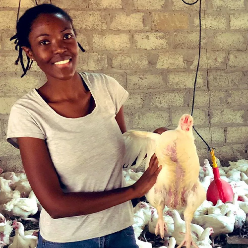 projects-management-2